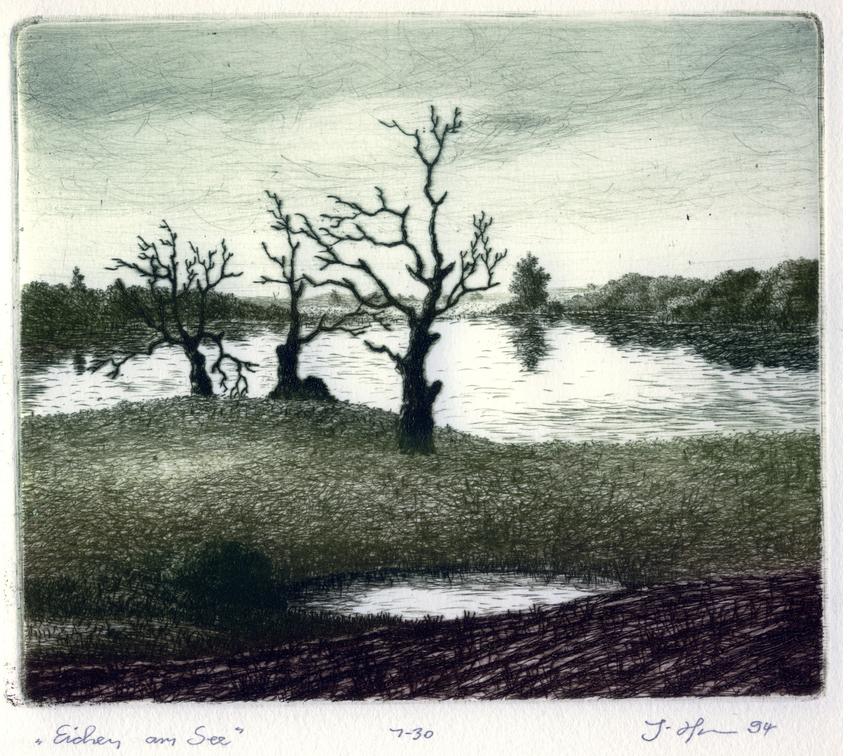 Abbildung von Eichen am See 1994 von Günter Horn