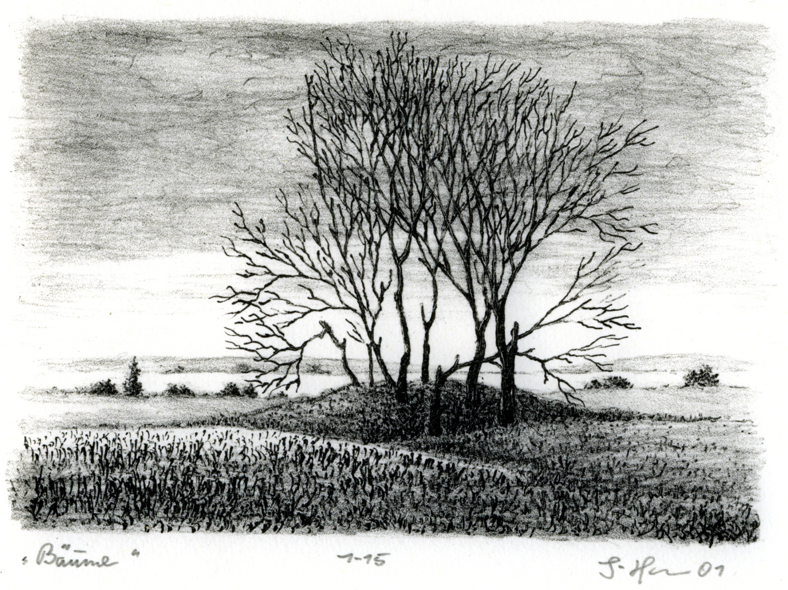 Abbildung von Bäume 2001 Günter Horn